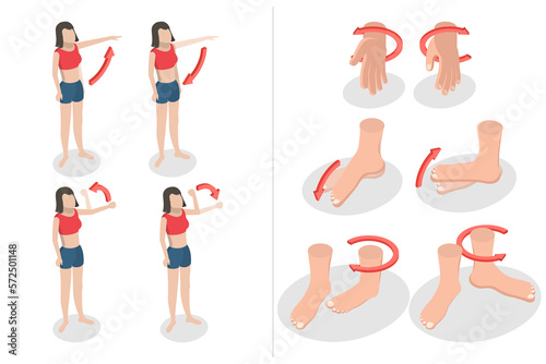 Foto 3D Isometric Flat  Conceptual Illustration of Muscular Motion