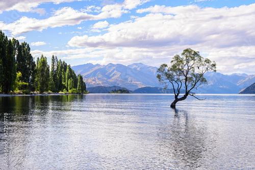 views of famous wanaka tree, new zealand