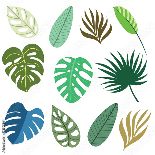 TROPICAL LEAVES VECTOR DESIGN COLLECTION