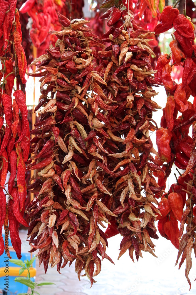 dried red hot chili peppers, hanged seasonal red peppers