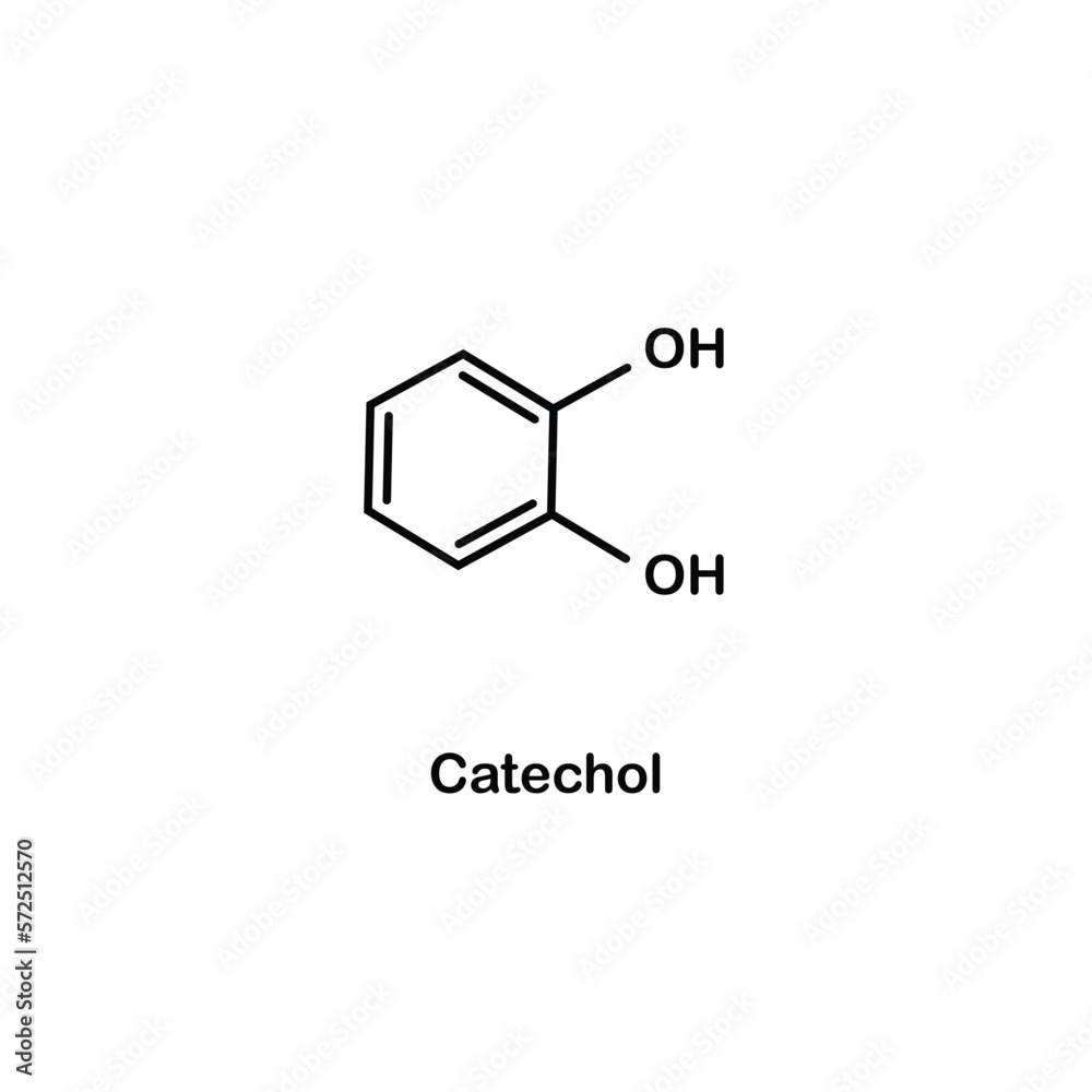 Formula Of Chemical Structure Of Catechol Vector EPS 10 Stock 