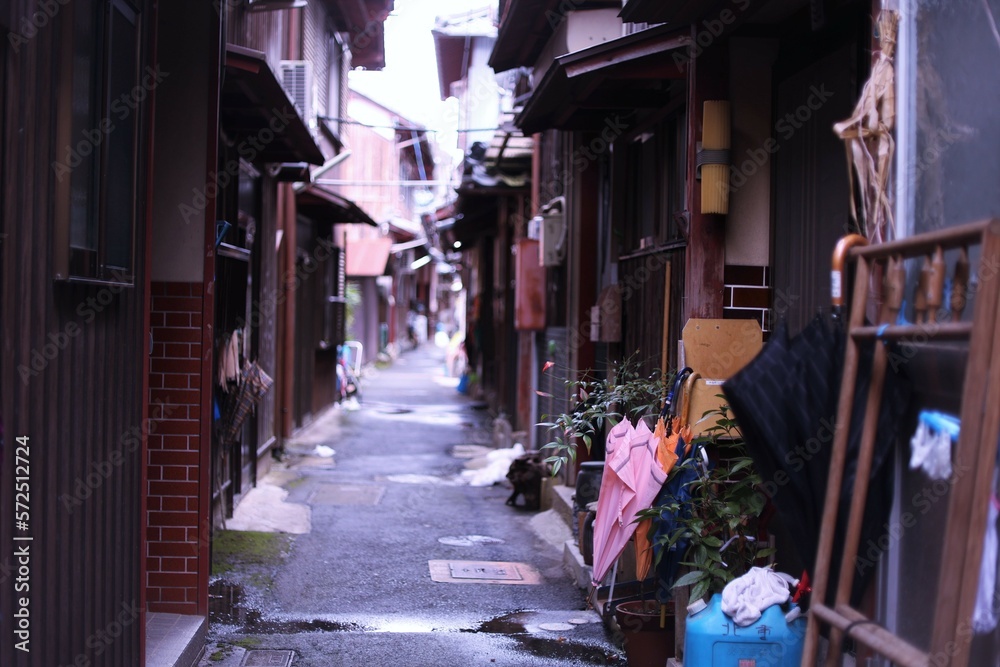 Obraz premium 沖島