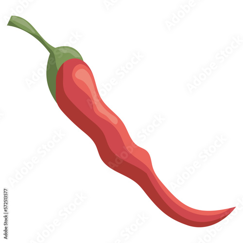 red chilli pepper vegetable