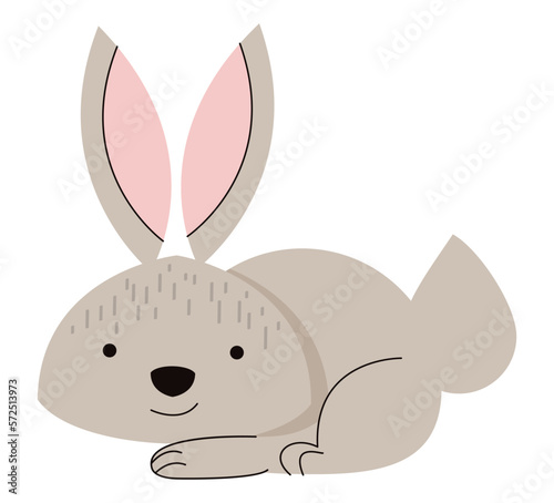 cute beige rabbit lying