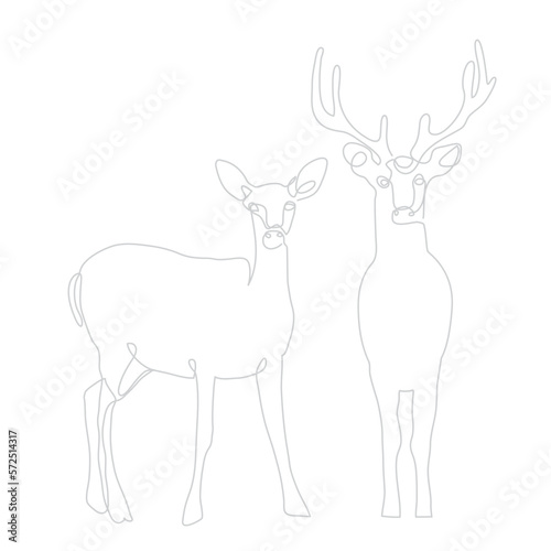 Deer Buck and Doe - Minimalist Single Line Drawing