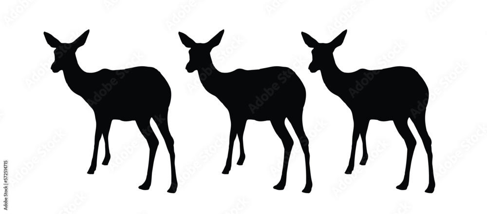 roe deer silhouettes