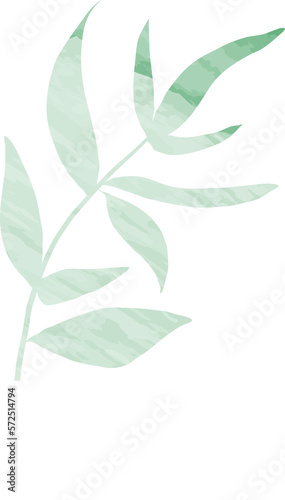 Watercolor wedding floral leaf branch