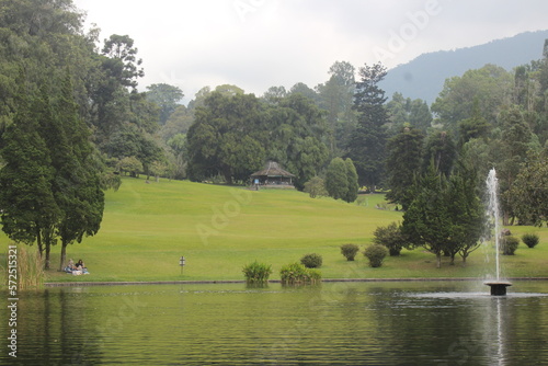 The beauty of the lake in the middle of the lake