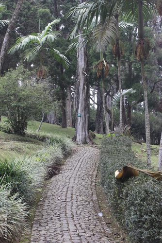 The beauty of the lake in the middle of the lake