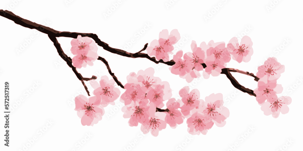 Obraz premium Japanese cherry blossoms, sakura, spring flowers, vector illustration