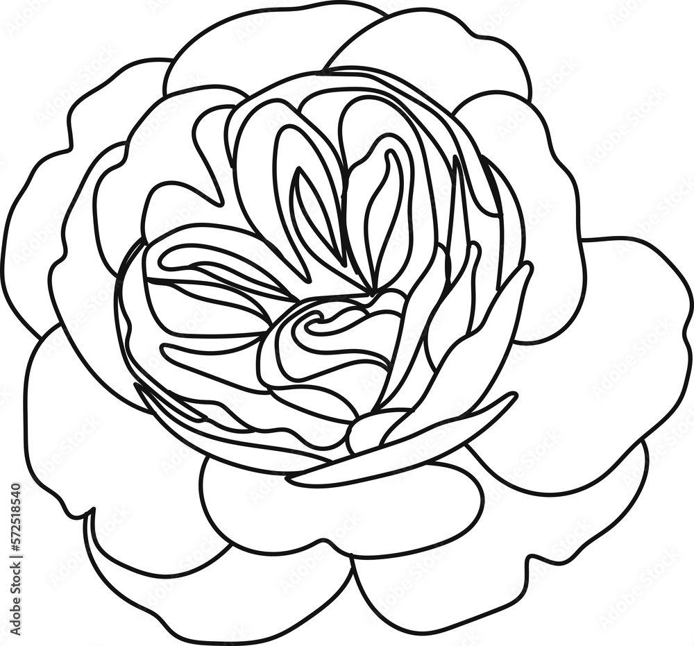 Obraz premium minimal botanical graphic sketch line art drawing, trendy tiny tattoo design, floral elements vector illustration