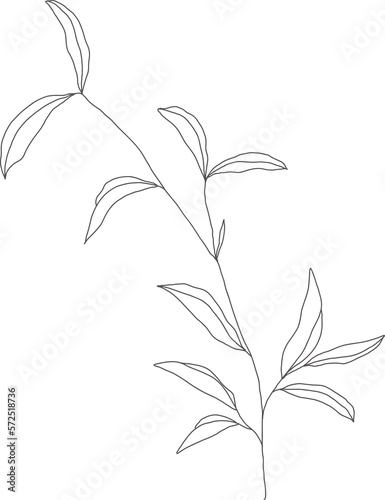 minimal botanical graphic sketch line art drawing  trendy tiny tattoo design  floral elements vector illustration