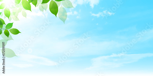 新緑　葉　風景　背景