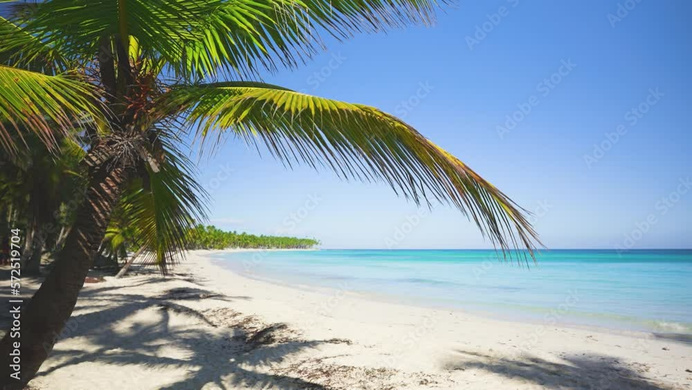 View from the islands of the Maldives through palm leaves to the turquoise ocean. Tropical paradise beach with white sand and coconut trees. Travel and tourism concept. View from the islands of the Maldives through palm leaves to the turquoise ocean. Tropical paradise beach with white sand and coconut trees. Travel and tourism concept.