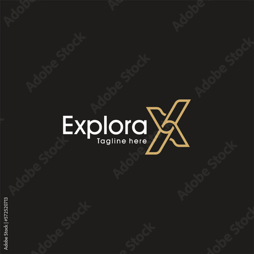 letter x logo design template vector