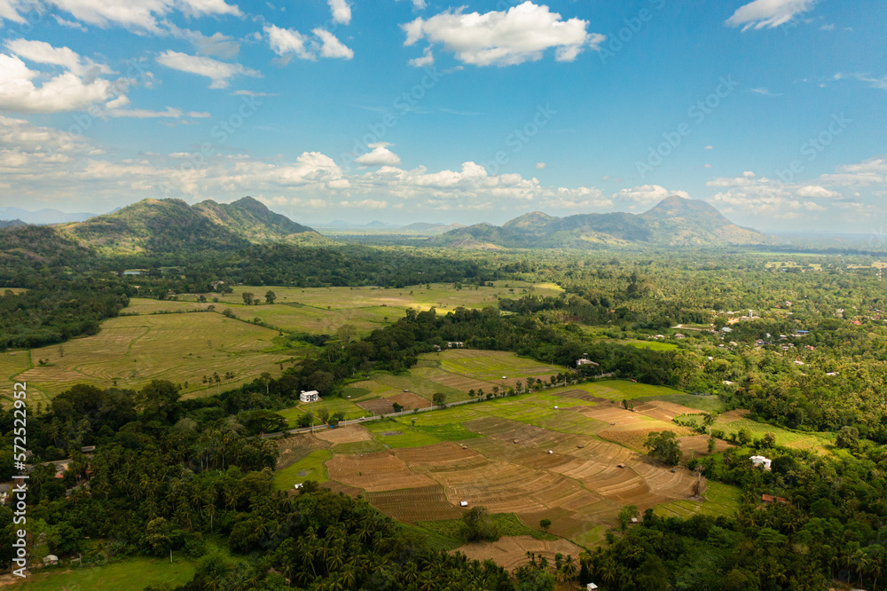 Agricultural land and rice fields in the countryside. Farmers land surrounded by jungle. Sri Lanka.