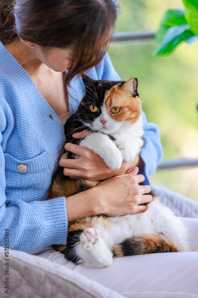 Millennial Asian young female owner sitting on cozy armchair smiling holding hugging cuddling showing love to cute fat tabby tricolor short hair little domestic furry purebred pussycat in arms Millennial Asian young female owner sitting on cozy armchair smiling holding hugging cuddling showing love to cute fat tabby tricolor short hair little domestic furry purebred pussycat in arms