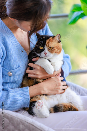 Millennial Asian young female owner sitting on cozy armchair smiling holding hugging cuddling showing love to cute fat tabby tricolor short hair little domestic furry purebred pussycat in arms