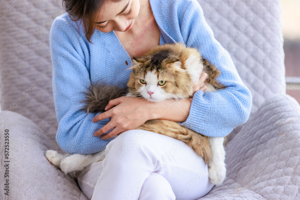 Millennial Asian young female owner sitting on cozy armchair smiling holding hugging cuddling looking showing love to cute fat tabby long hair little domestic cat furry purebred pussycat in arms Millennial Asian young female owner sitting on cozy armchair smiling holding hugging cuddling looking showing love to cute fat tabby long hair little domestic cat furry purebred pussycat in arms