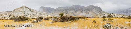 Bild auf Leinwand Overcast view of the landscape of Guadalupe Mountains National Park