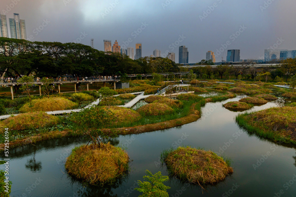 Big trees and skywalk in Benchakitti (Benjakitti) Park, Khlong Toei District of central Bangkok, Big trees and skywalk in Benchakitti (Benjakitti) Park, Khlong Toei District of central Bangkok,