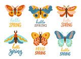 Hello Spring hand drawn set flat vector illustration. Lettering spring season with butterfly for greeting card