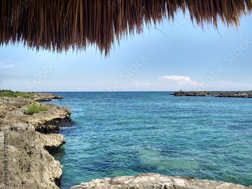 beach with palm trees