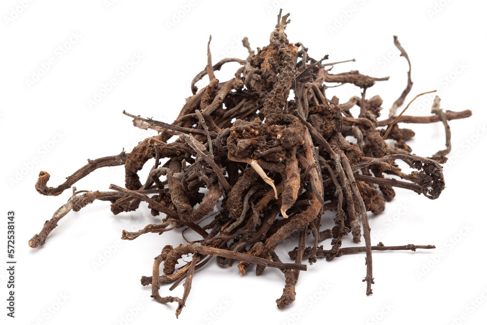 Obraz premium Closeup of Dry Nirgundi (Vitex negundo) roots, isolated on white background.