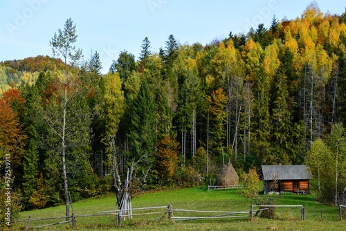 Autumn day in the mountains. Green and yellow leaves of trees