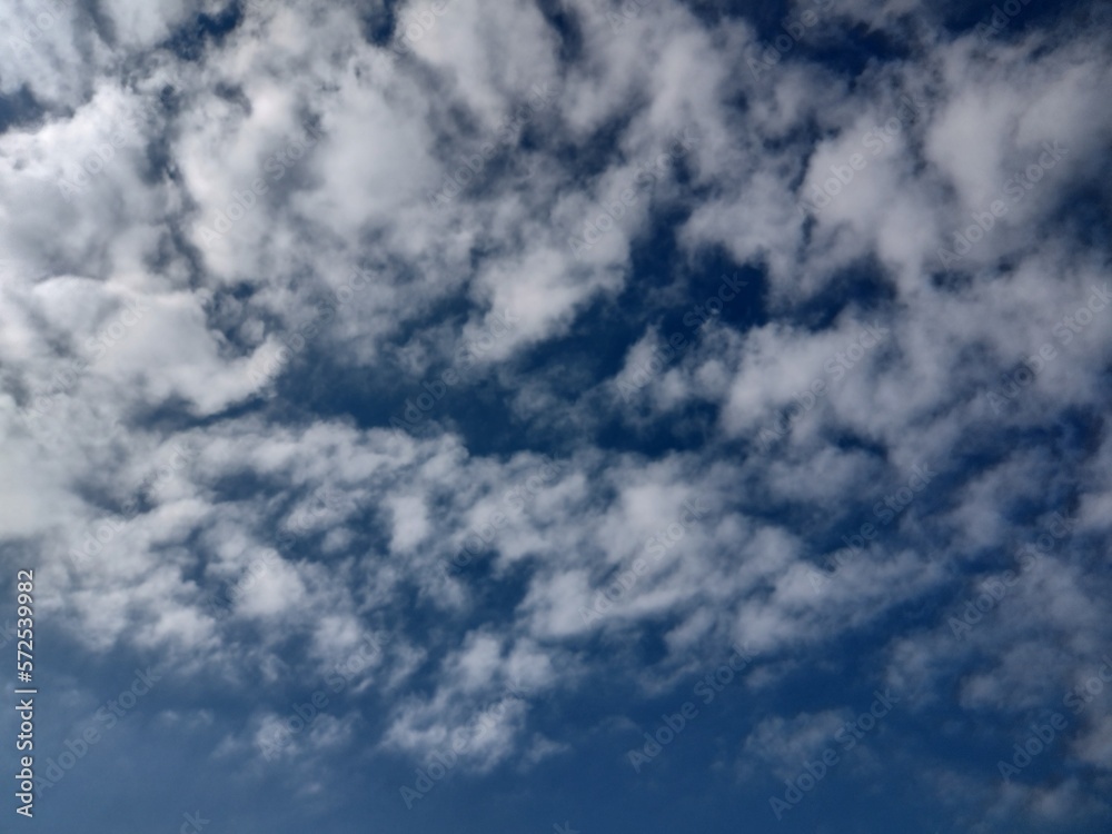 Fototapeta premium 東京のそら(23.2.17)