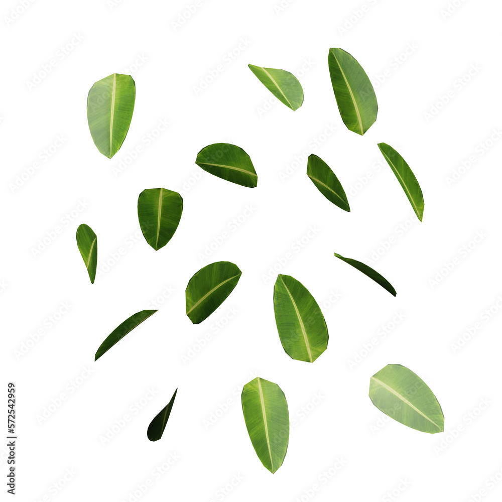 Green leaf plant on transparant background, 3d render illustration.