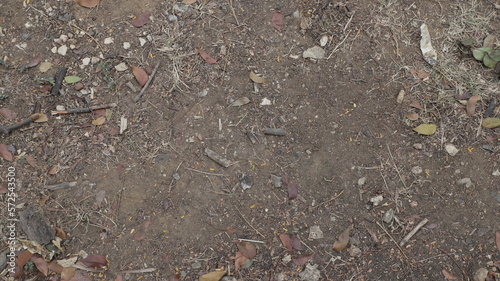 Wallpaper Mural concepto textura de vista superior sobre la tierra marron natural Torontodigital.ca