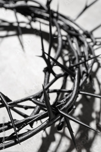 Crown of thorns on white background  closeup. Good Friday concept