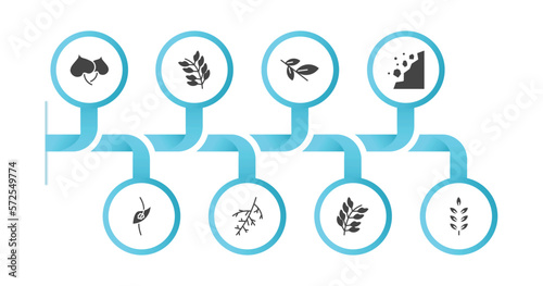 editable filled icons with infographic template. infographic for nature concept. included cercis leaf, rowan leaf, willow leaf, falling debris, perfoliate, larch bilberry american mountain ash