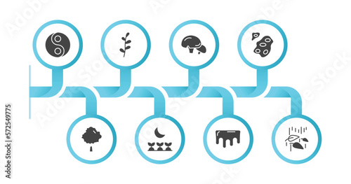 editable filled icons with infographic template. infographic for nature concept. included fengshui, prairie, mushroom with spots, asteroids, basswood tree, cultivation, melting, leaf and drop icons.
