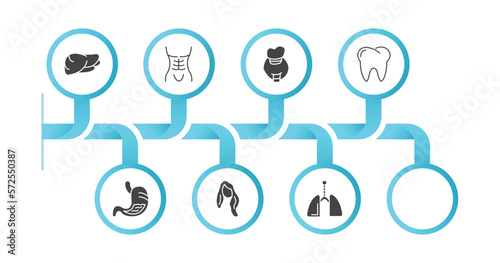 editable filled icons with infographic template. infographic for human body parts concept. included human liver, human abdomen, eye with lashes, thyroid, teeth, stoh with liquids, long wavy hair