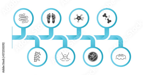 editable filled icons with infographic template. infographic for human body parts concept. included small intestine, human footprints, neuron, broken bone, human spine, neck, fetus, men chest icons.