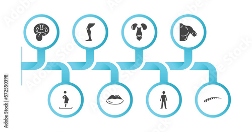 editable filled icons with infographic template. infographic for human body parts concept. included tonsil, men leg, excretory system, men shoulder, woman pregnant, big lips, standing human body,