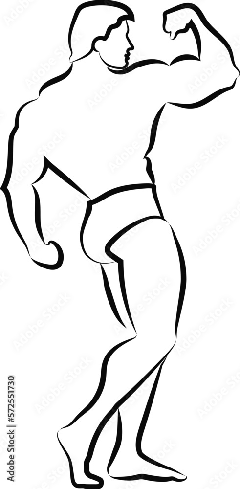 Bodybuilder pose. Warehouse illustration. Black contour with thinning. Bodybuilder pose. Warehouse illustration. Black contour with thinning.