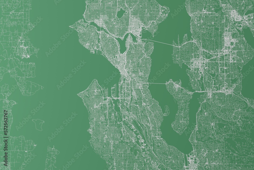Stylized map of the streets of Seattle (Washington, USA) made with white lines on green background. Top view. 3d render, illustration