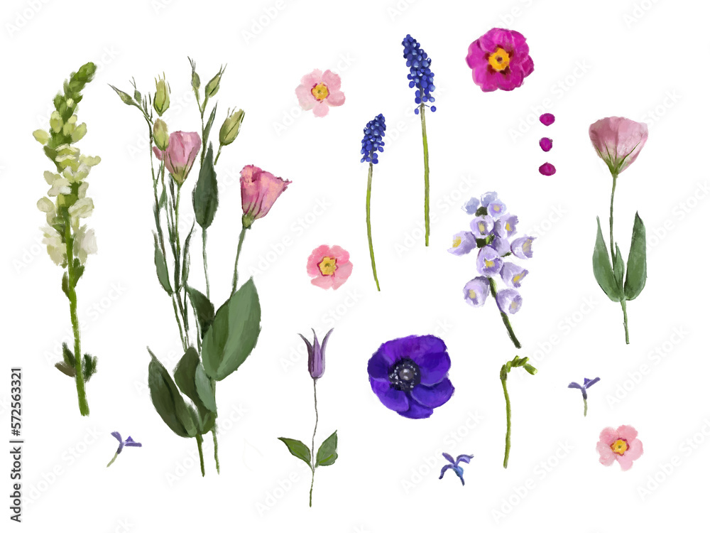Set of spring flowers, summer bouqets. Png illustration with transparent background, pink flowers isolated on white.	