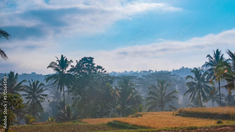 Rice terraces with clouds moving in blue sky on sunny day, timelapse. Typical agriculture in asian countries Rice terraces with clouds moving in blue sky on sunny day, timelapse. Typical agriculture in asian countries