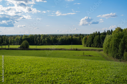 Podobny obraz