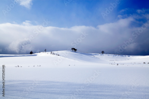 雪原と影（上富良野町）