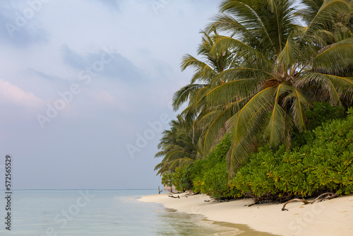 Fototapeta Naklejka Na Ścianę i Meble -  The Republic of Maldives. Tod's Island. Types of beaches in the Maldives.