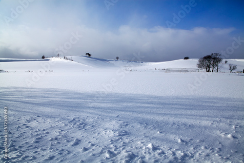Obraz na płótnie 雪原と影（上富良野町）