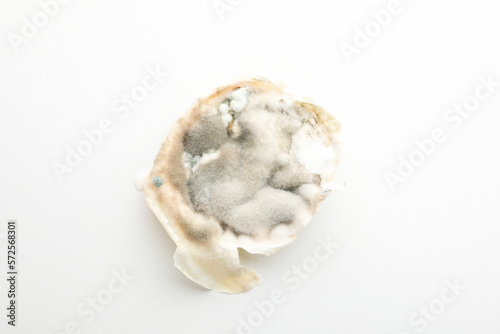 Food with mold on white background, close up