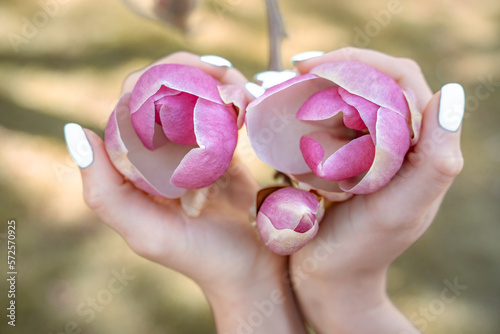 Magnolia woman hands. Girl holding blooming magnolia flowers in the park in spring