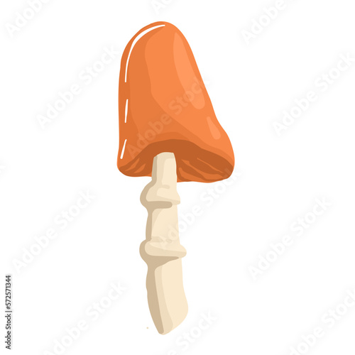 mushrooms in the hand drawing style. Psychedelic abstract mushrooms, hippie style. Vector illustration isolated on a white background.