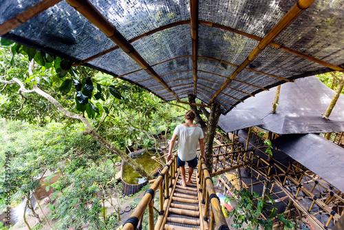 Young man crossing bridge connecting two tree houses, Bali, Indonesia photo
